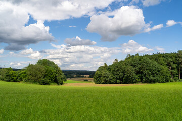 Beautiful landscape in summer with green grass, trees and blue cloudy sky 