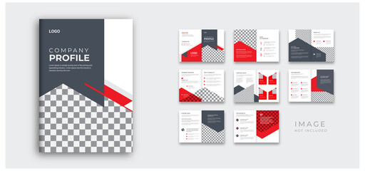 company profile and project proposal layout colorful unique design