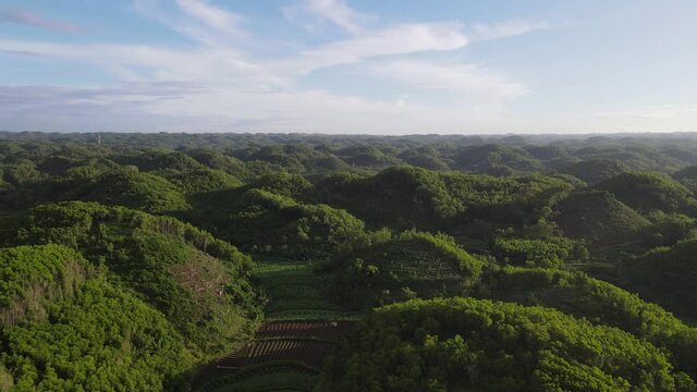 Aerial view of green valley in Gunung Kidul, Indonesia. 