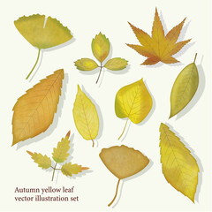 水彩で描いた黄色の秋の木の葉のベクターイラスト