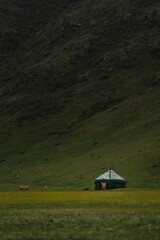 Fototapeta na wymiar Kazakh yurt in Kazakhstan Almaty region