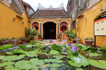 Fototapeta na wymiar Hoi An, Vietnam, October 10, 2021: Water lilies in the courtyard of the Hy Hoa temple in Hoi An, Vietnam