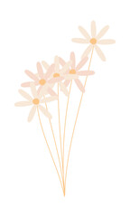 Fototapeta na wymiar cute daisies icon