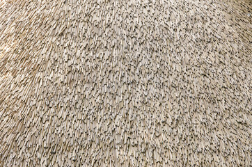Thatch roof 4 - background