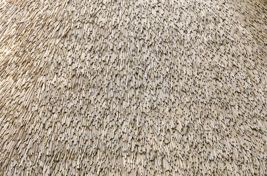 Thatch roof 4 - background