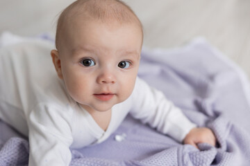 closeup portrait of a cute newborn baby lying on his stomach on a lilac blanket on the floor. happy, smiling child. space for text. High quality photo
