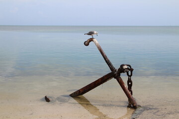 Anchored 