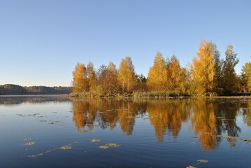 Summer fishing on the lake