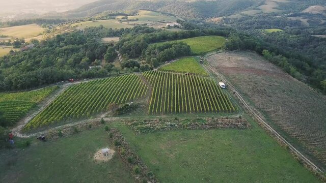 Aerial View Of The Vineyard At The Northern Rhone Valley Near Cornas In France.