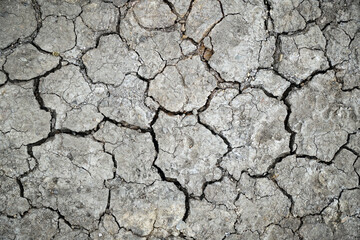 The land was dry and cracked. The global shortage of water on the planet. Global warming and greenhouse effect concept.                 