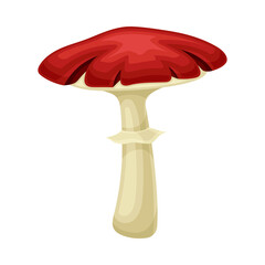 Wild forest poisonous mushroom with red cap vector illustration