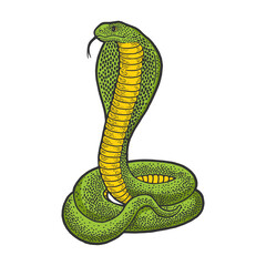 Cobra Snake animal sketch raster illustration