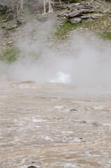 Geyser and hot spring in old faithful basin in Yellowstone National Park in Wyoming