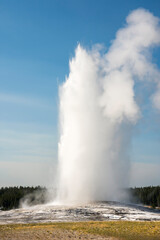 Fototapeta na wymiar Geyser and hot spring in old faithful basin in Yellowstone National Park in Wyoming