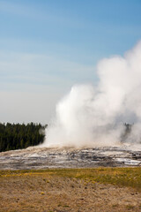 Geyser and hot spring in old faithful basin in Yellowstone National Park in Wyoming