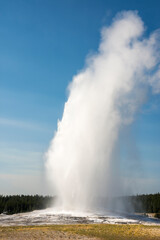 Fototapeta na wymiar Geyser and hot spring in old faithful basin in Yellowstone National Park in Wyoming
