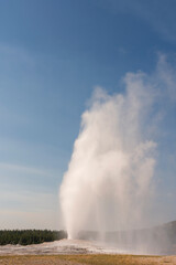 Geyser and hot spring in old faithful basin in Yellowstone National Park in Wyoming