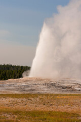 Geyser and hot spring in old faithful basin in Yellowstone National Park in Wyoming