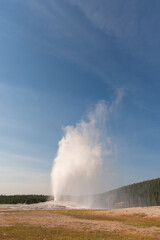 Geyser and hot spring in old faithful basin in Yellowstone National Park in Wyoming