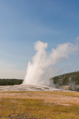 Geyser and hot spring in old faithful basin in Yellowstone National Park in Wyoming