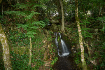 岐阜公園内にある小さい滝