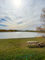 bench in the park near lake.