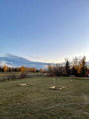 a park during autumn season.