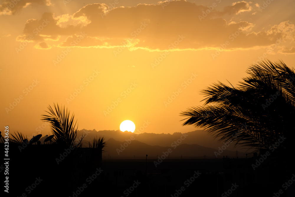 Canvas Prints Dramatic sky over silhouettes of trees and mountain at sunset