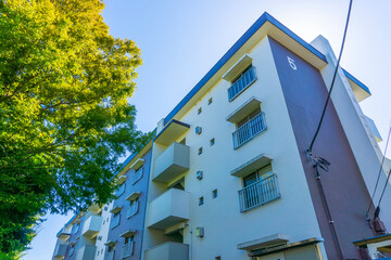 昭和に建てられた古い団地のある風景写真_c_13