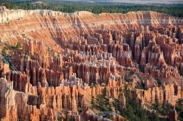 landscape on the bryce canyon in the united states of america