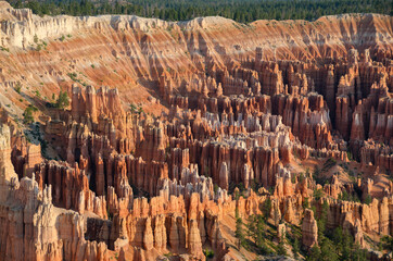 landscape on the bryce canyon in the united states of america