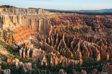 landscape on the bryce canyon in the united states of america