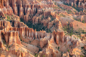 landscape on the bryce canyon in the united states of america