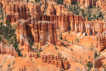 landscape on the bryce canyon in the united states of america