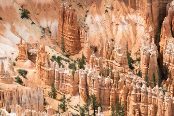 landscape on the bryce canyon in the united states of america