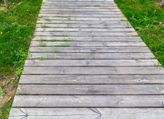 Wooden path on green grass
