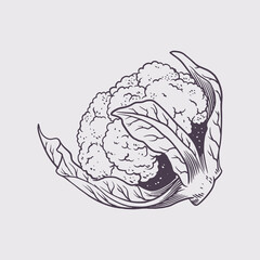 Broccoli hand drawing sketch. Vintage engraving eco food. Healthy vegetable. For wrapping paper, street festival, farmers market, country fair, shop, menu, cafe, restaurant.