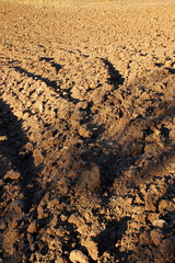 plowed field on the farm
