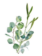 Watercolor greenery. Green floral. Eucalyptus leaves, wedding bouquet. Branches, twigs, foliage for elegant card and invitation