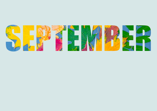 The word SEPTEMBER, composed of bright, colorful autumn leaves of different plants, isolated on a pastel blue