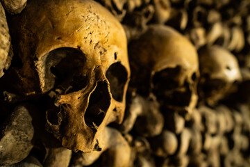Skulls in the catacombs 