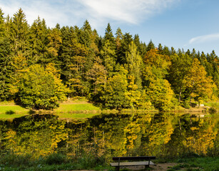 fall colors on the lake