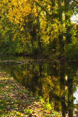 Autumn in French countryside. Calm water of Fusain river, France. Beautiful reflection of autumnal trees. Nature season landscape background. Travel, solitude, wanderlust concepts. Selective focus.