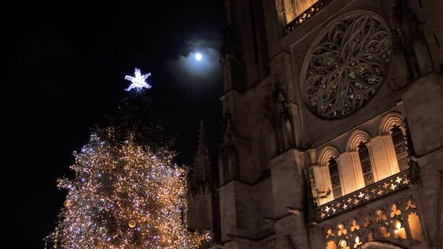 Christmas tree and front of the Bordeaux Cathedral during Christmas at night