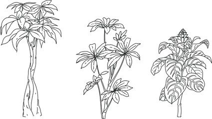 Black and white illustration set of flowers plant vector