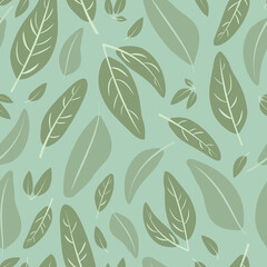Organic sage leaf pattern, with illustrated leaves on a neutral light sage green, colored backdrop. Soft, earthy, herb, botanical, natural, plant leaves seamless, vector background texture design.