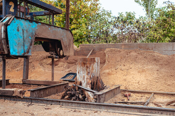 Sawing machine cutting tree log at wood production factory. Timber material processing and cutting at sawmill