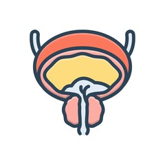Color illustration icon for prostate