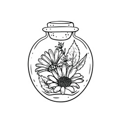 A composition of daisies in a round decorative jar. Vector illustration.