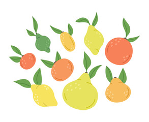 Doodle citrus fruits. Citrus orange, lime, lemon and pomelo vitamin fruits. Hand drawn organic sour taste fruits. Citrus fruits vector isolated illustration symbols set